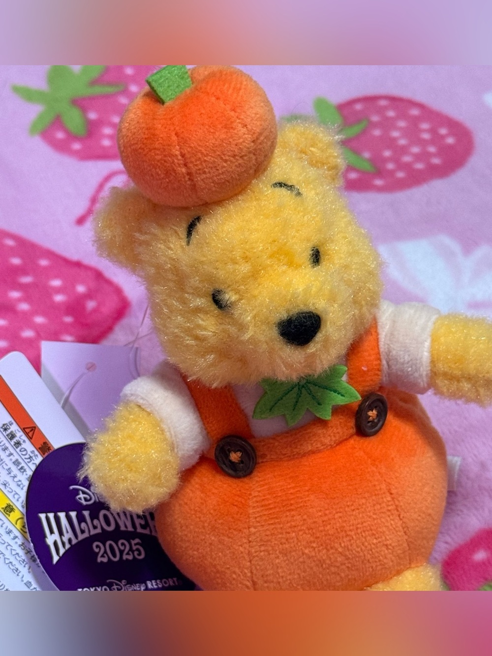 Tokyo Disney Resort Halloween Winnie the Pooh Pumpkin Plush Keychain Japan - Picture 8 of 8